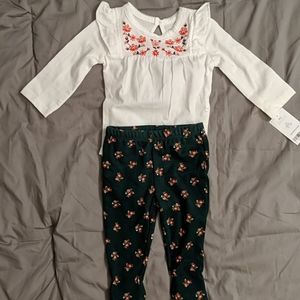 Nwt baby girl outfit